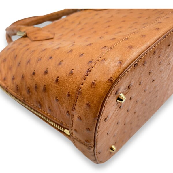Alma BB Brown Top Handle Bag in Ostrich, Gold hardware - Image 10